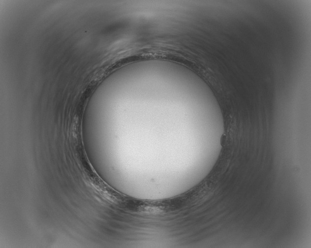 X0000077370649200610201015