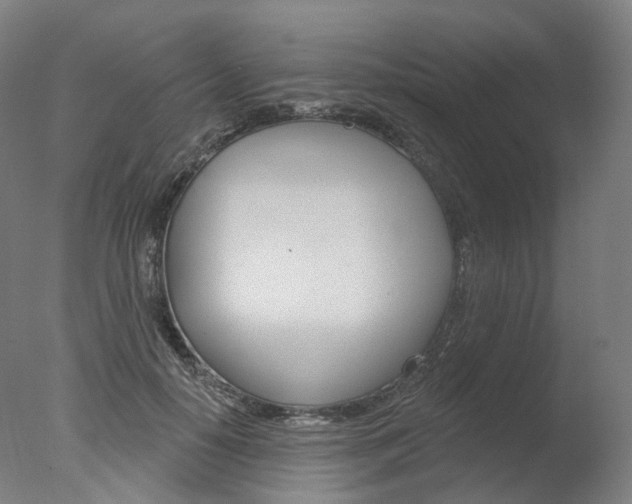 X0000077370650200610201015