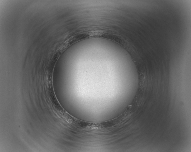 X0000077370655200610201015