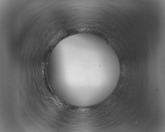 X0000077370664200610201016