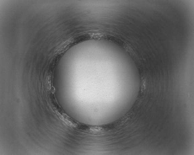 X0000077370666200610201016