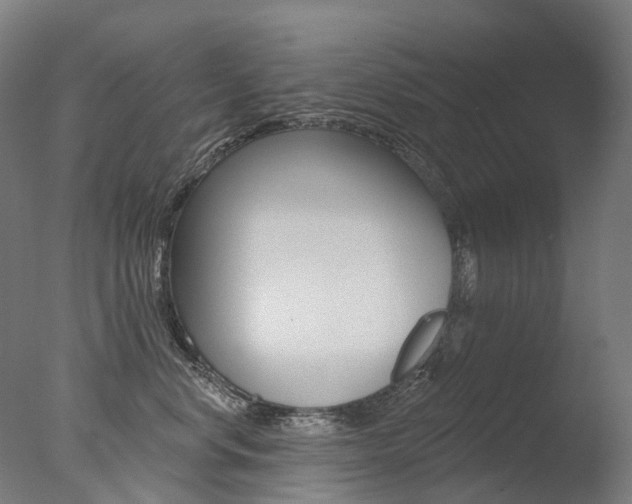 X0000077370668200610201016