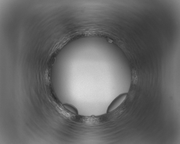 X0000077370670200610201016