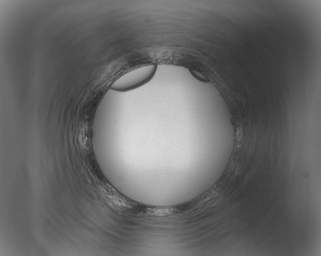 X0000077370671200610201016