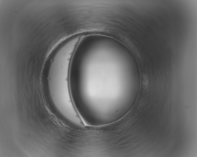 X0000077370676200610201015