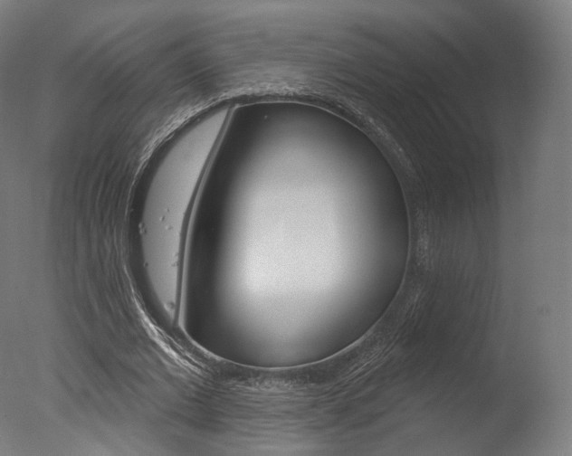 X0000077370677200610201015