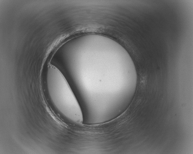 X0000077370678200610201015