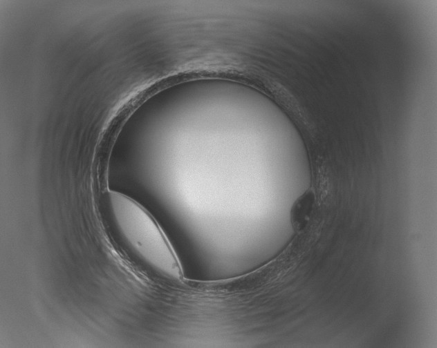 X0000077370680200610201015