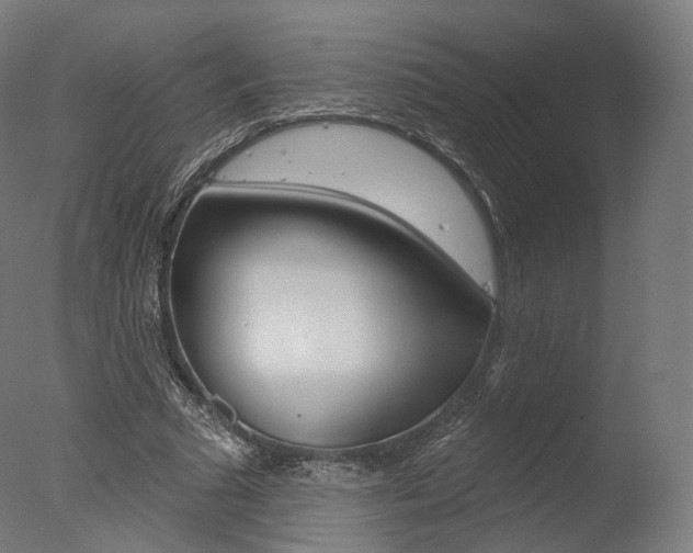 X0000077370681200610201015