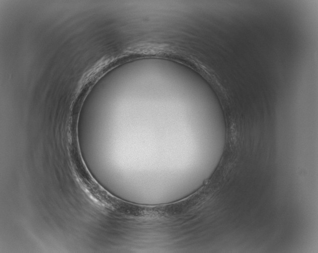 X0000077370682200610201015