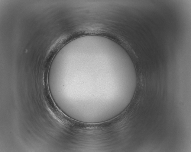X0000077370686200610201015
