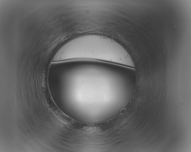 X0000077370689200610201015
