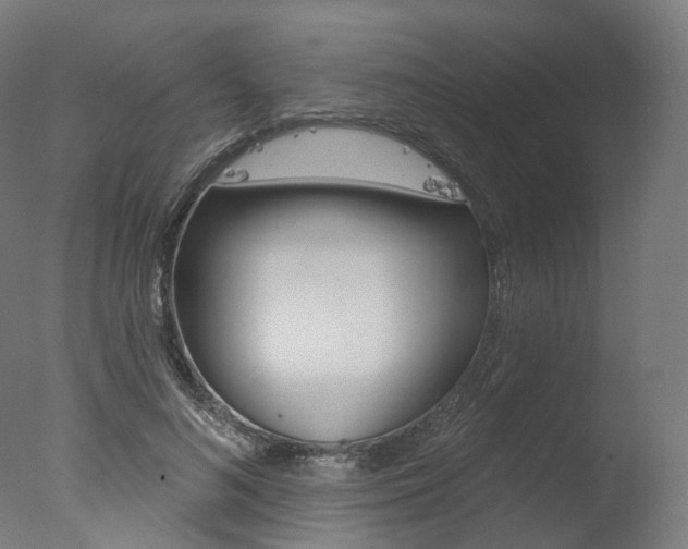 X0000077370692200610201015