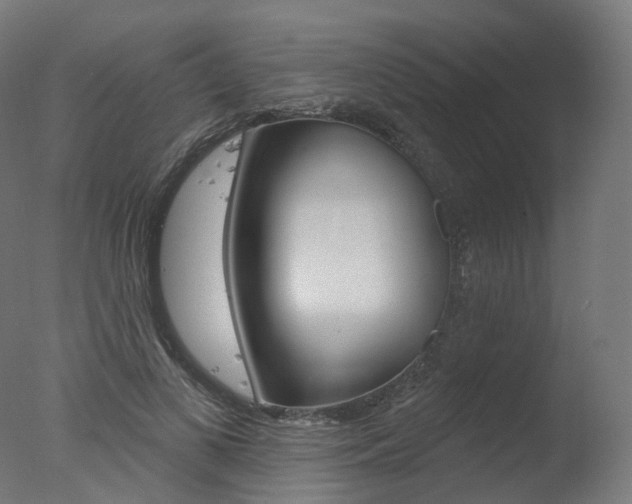 X0000077370693200610201015