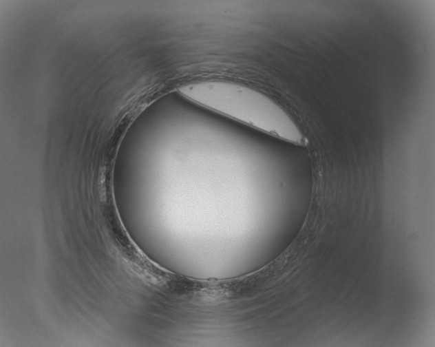 X0000077370696200610201014