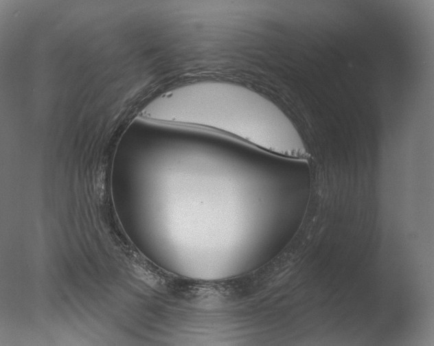X0000077370697200610201014