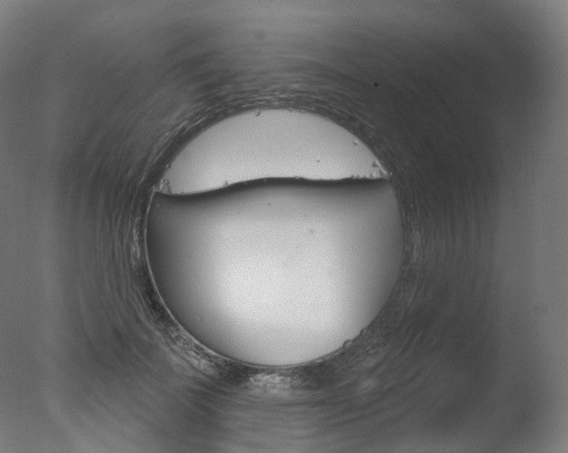 X0000077370699200610201014