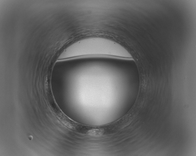 X0000077370700200610201014