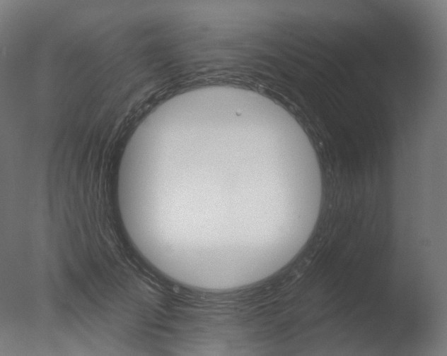 X0000077370701200610201014