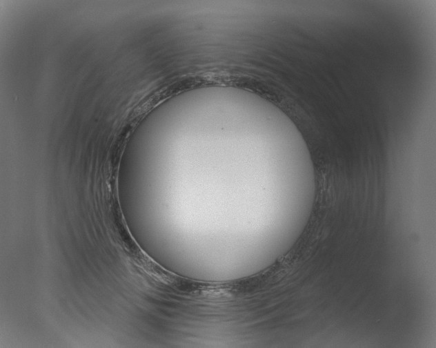 X0000077370702200610201014