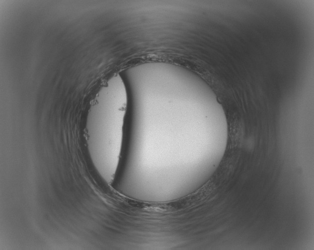 X0000077370703200610201014