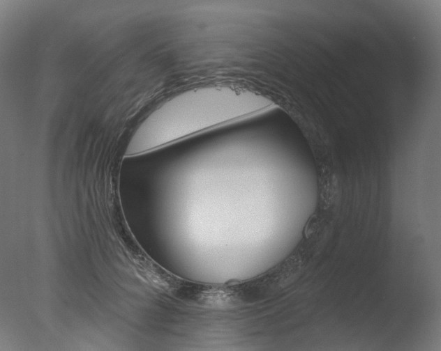 X0000077370704200610201014