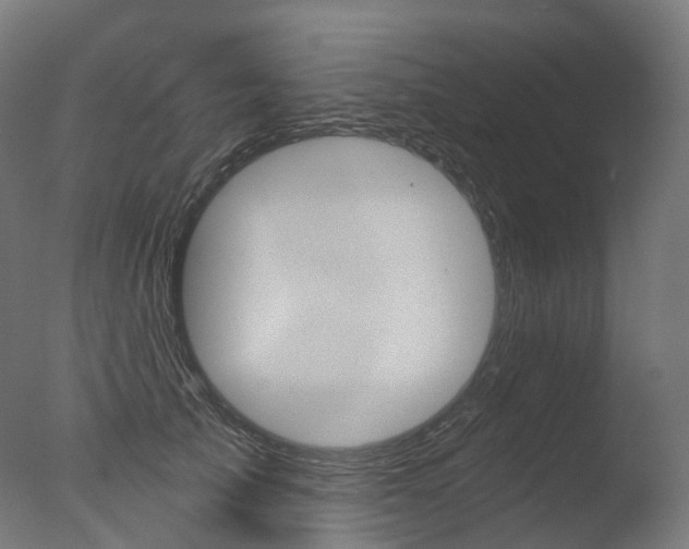 X0000077370705200610201014