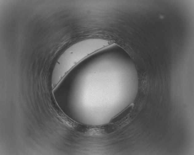 X0000077370708200610201014