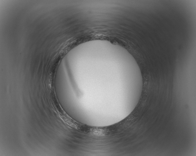 X0000077370710200610201014