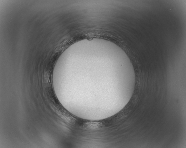 X0000077370711200610201014