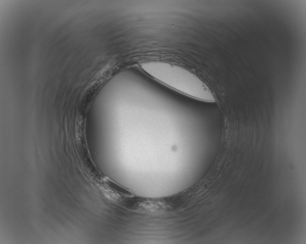 X0000077370712200610201014