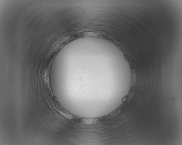 X0000077370713200610201014