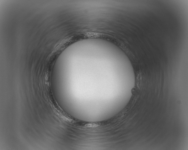 X0000077370714200610201014