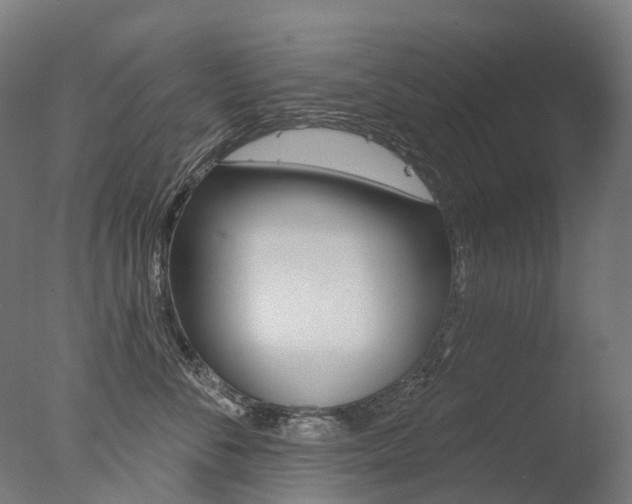 X0000077370716200610201014