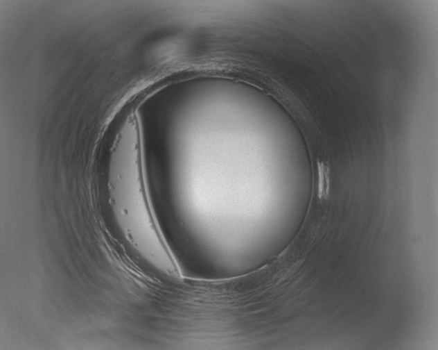 X0000077370723200610201013