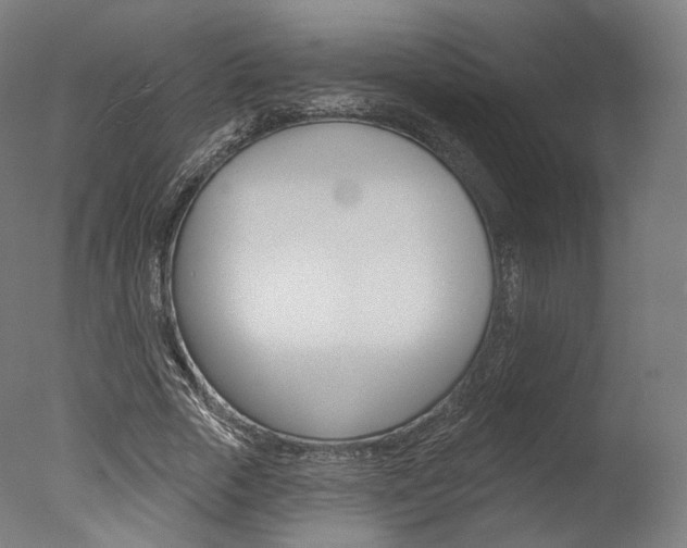 X0000077370729200610201013