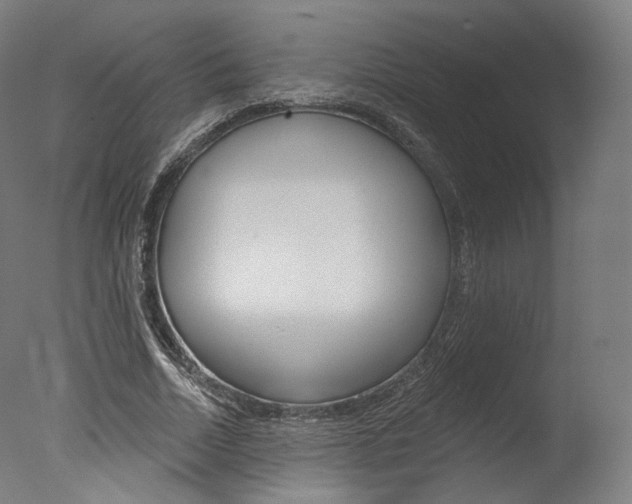 X0000077370730200610201013