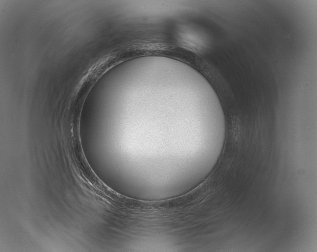 X0000077370731200610201013