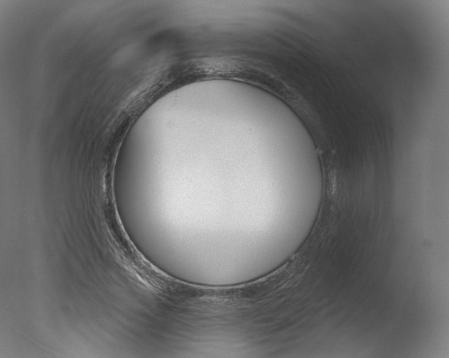 X0000077370733200610201013