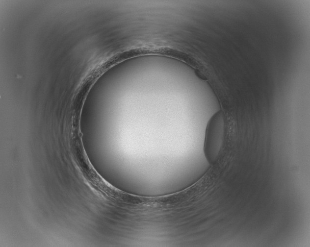 X0000077370736200610201014