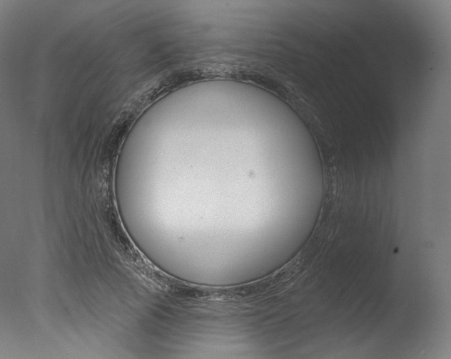 X0000077370737200610201014