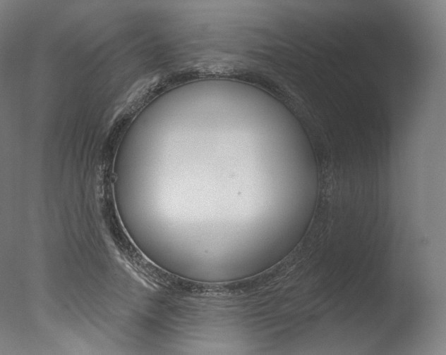 X0000077370738200610201014