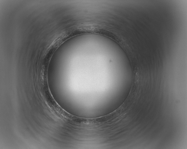 X0000077370739200610201014