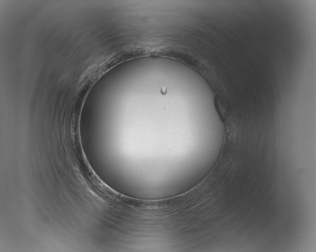X0000077370740200610201014
