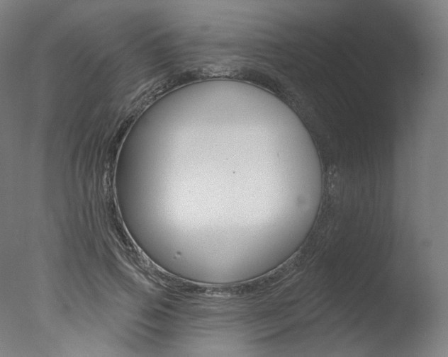 X0000077370741200610201014