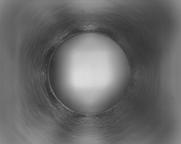 X0000077370743200610201014