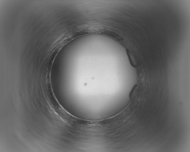 X0000077370744200610201014