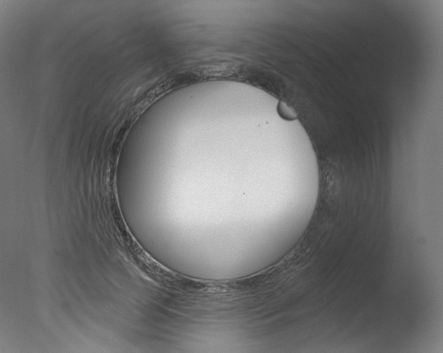 X0000077370745200610201014
