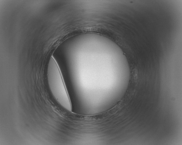 X0000077370746200610201014