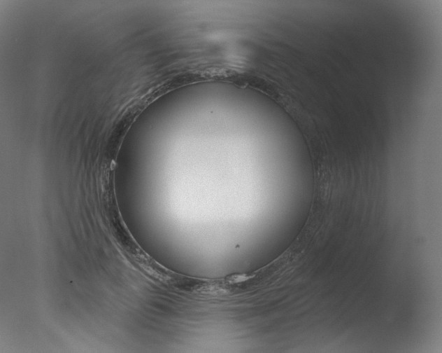 X0000077370747200610201014